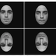 Image: Martini et al
